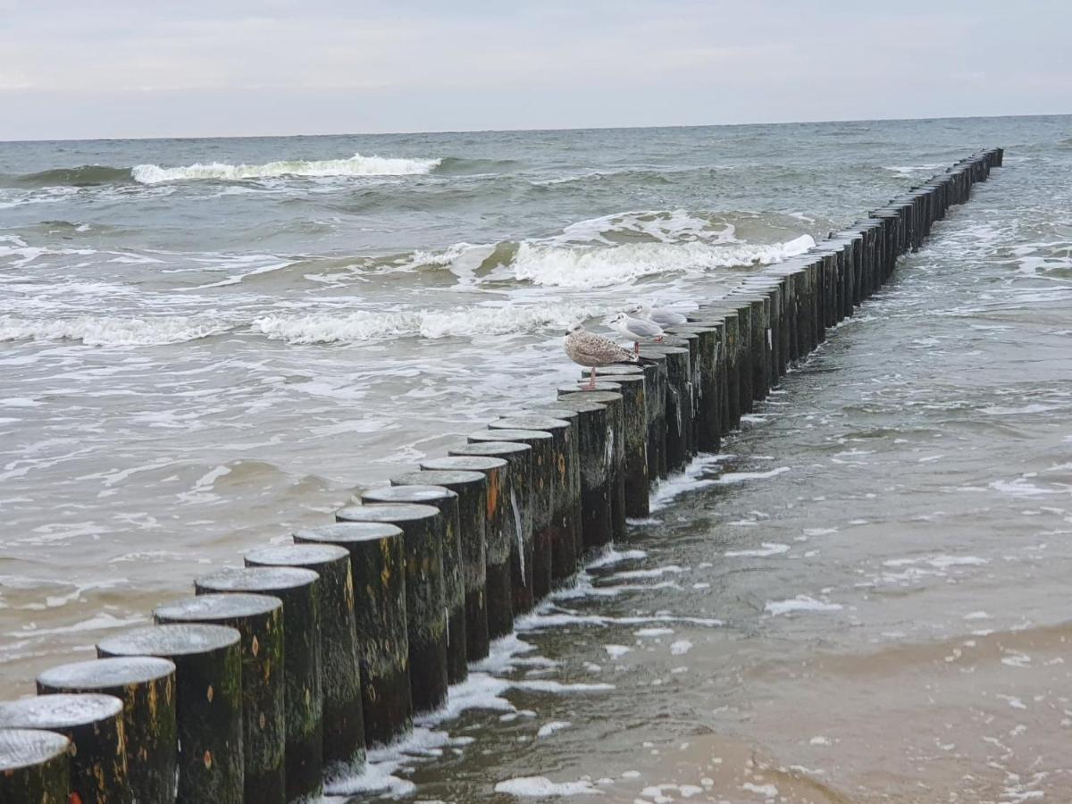 Baltic Cliff Apartamenty Niechorze Eksteriør billede